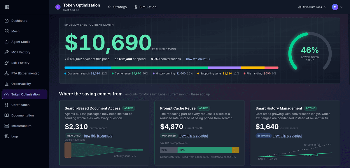 Token Optimization screenshot